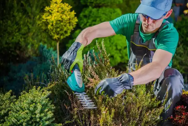 landscaping services Maryville